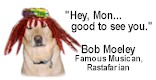 moe_rasta.jpg (5760 bytes)